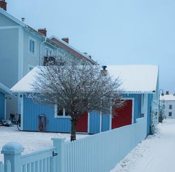 Jak Přeměnit Garáž na Útulný Koutek pro Mazlíčky